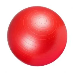 Gorilla Sports Træningsbold 55 Cm - (RØD)